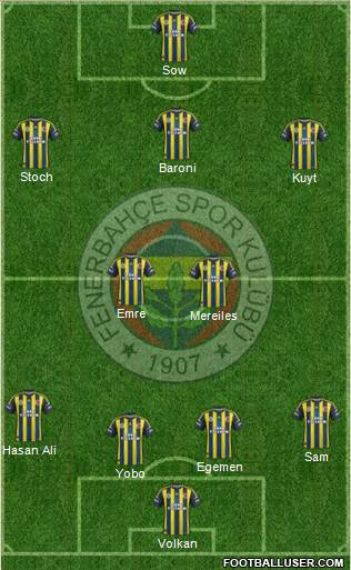 Fenerbahçe SK Formation 2013