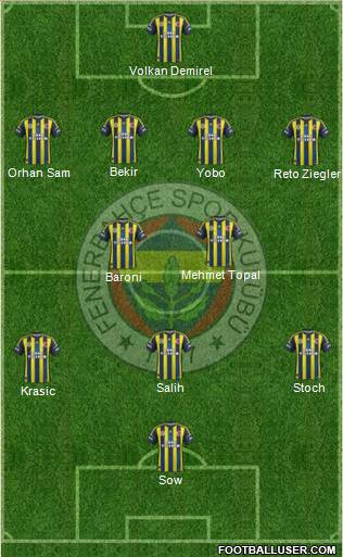 Fenerbahçe SK Formation 2013