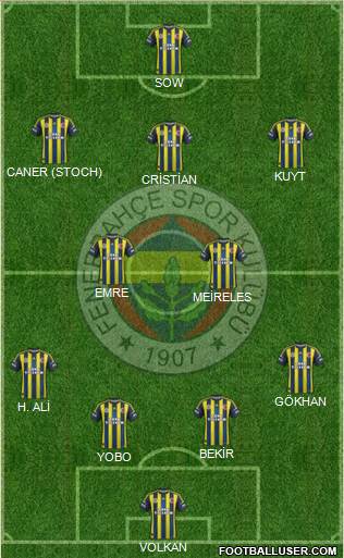 Fenerbahçe SK Formation 2013