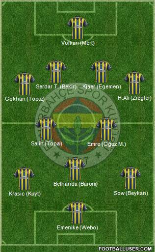 Fenerbahçe SK Formation 2013