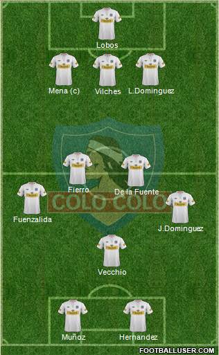 CSD Colo Colo Formation 2013
