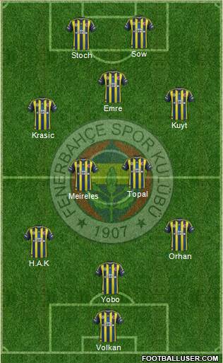 Fenerbahçe SK Formation 2013