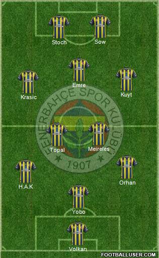 Fenerbahçe SK Formation 2013