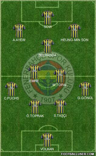 Fenerbahçe SK Formation 2013