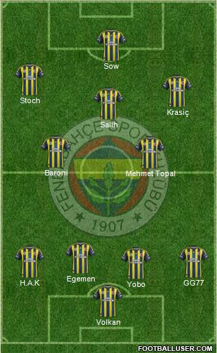 Fenerbahçe SK Formation 2013