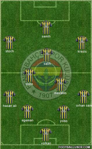 Fenerbahçe SK Formation 2013