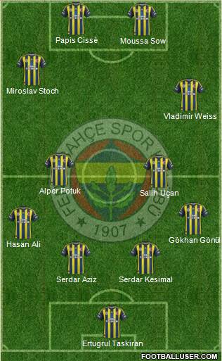 Fenerbahçe SK Formation 2013