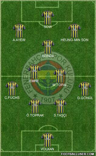 Fenerbahçe SK Formation 2013