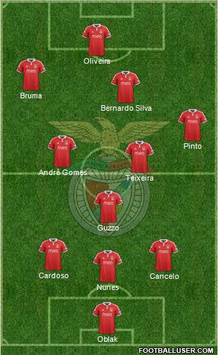 Sport Lisboa e Benfica - SAD Formation 2013