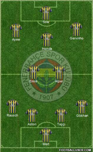 Fenerbahçe SK Formation 2013