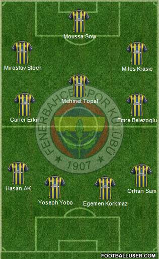 Fenerbahçe SK Formation 2013