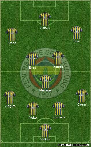 Fenerbahçe SK Formation 2013