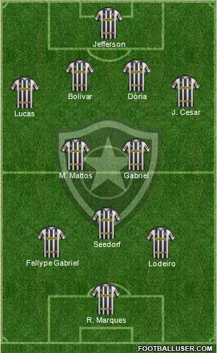 Botafogo FR Formation 2013