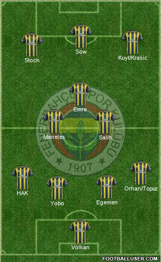 Fenerbahçe SK Formation 2013