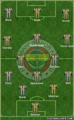 Fenerbahçe SK Formation 2013