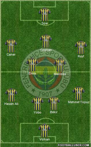 Fenerbahçe SK Formation 2013