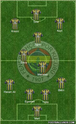 Fenerbahçe SK Formation 2013