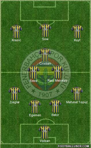 Fenerbahçe SK Formation 2013