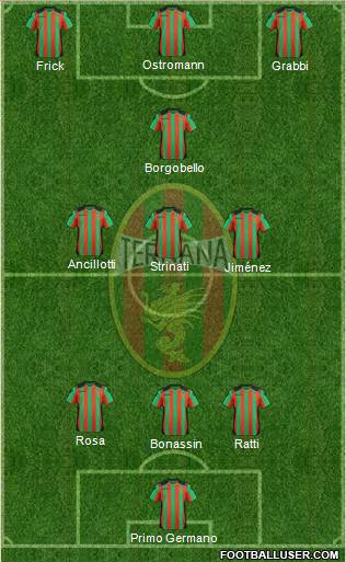 Ternana Formation 2013