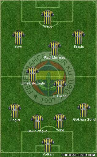 Fenerbahçe SK Formation 2013