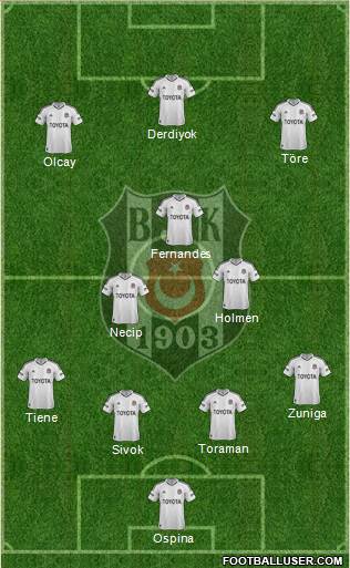 Besiktas JK Formation 2013