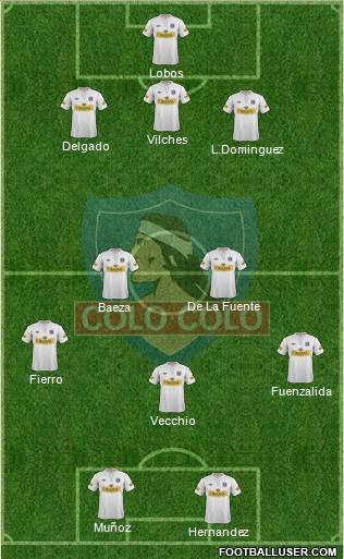 CSD Colo Colo Formation 2013
