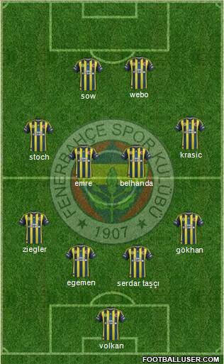Fenerbahçe SK Formation 2013