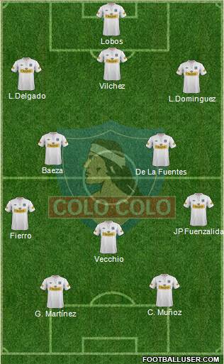CSD Colo Colo Formation 2013
