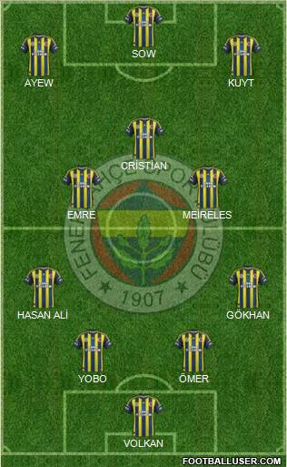 Fenerbahçe SK Formation 2013