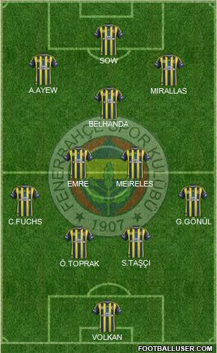 Fenerbahçe SK Formation 2013