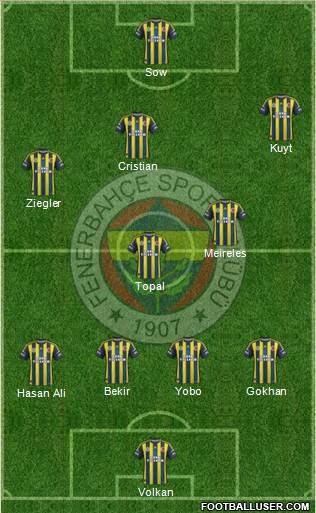 Fenerbahçe SK Formation 2013