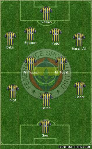 Fenerbahçe SK Formation 2013