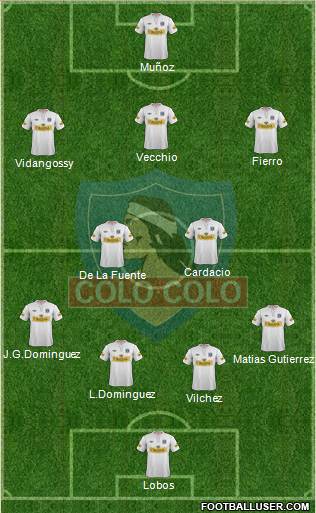 CSD Colo Colo Formation 2013