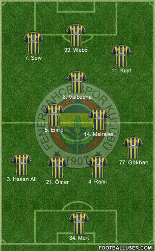 Fenerbahçe SK Formation 2013