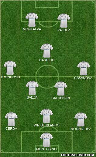 Tottenham Hotspur Formation 2013