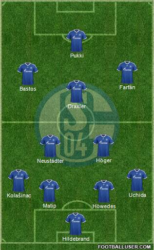 FC Schalke 04 Formation 2013
