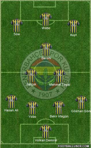 Fenerbahçe SK Formation 2013
