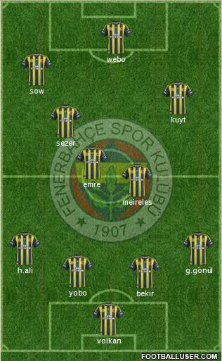 Fenerbahçe SK Formation 2013