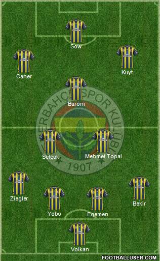 Fenerbahçe SK Formation 2013