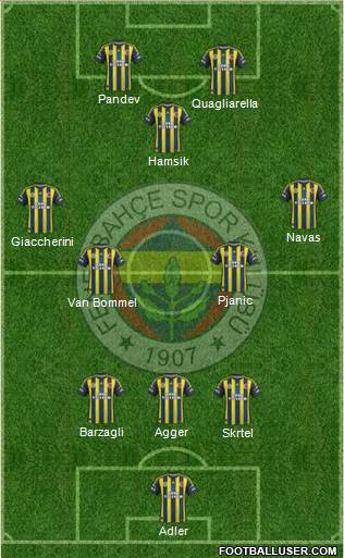 Fenerbahçe SK Formation 2013