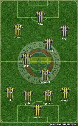 Fenerbahçe SK Formation 2013