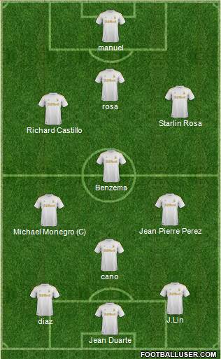 Swansea City Formation 2013