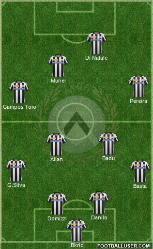 Udinese Formation 2013