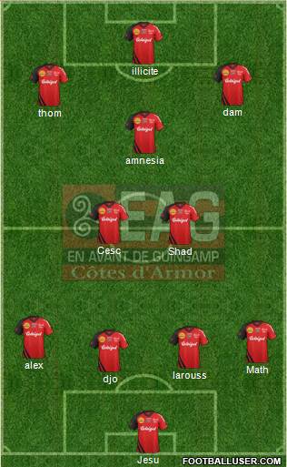En Avant de Guingamp Formation 2013