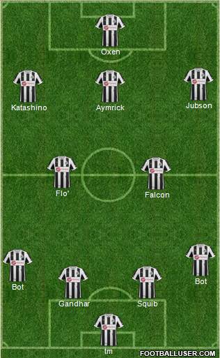 Newcastle United Formation 2013