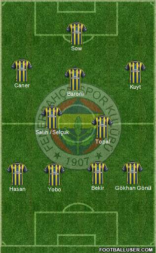 Fenerbahçe SK Formation 2013