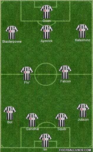 Newcastle United Formation 2013