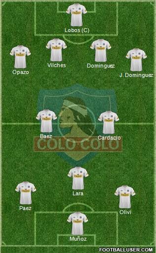 CSD Colo Colo Formation 2013
