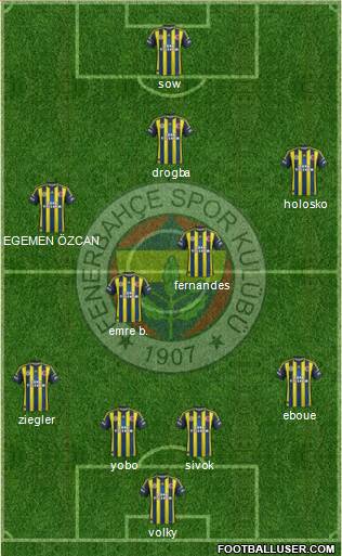 Fenerbahçe SK Formation 2013