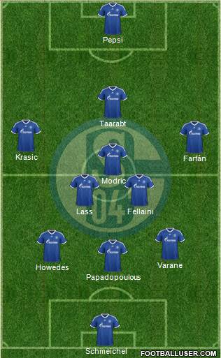 FC Schalke 04 Formation 2013
